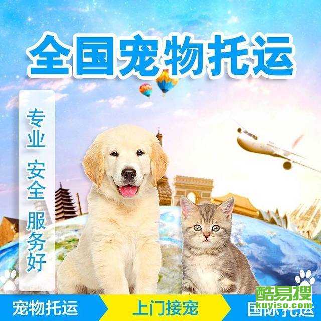 狗狗怎么快递托运 aeb9a85eb9a09d136c1618d0f89212db.jpg